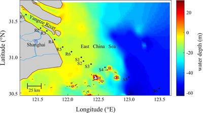 Water- and Base-Extractable Organic Matter in Sediments From Lower Yangtze River–Estuary–East China Sea Continuum: Insight Into Accumulation of Organic Carbon in the River-Dominated Margin